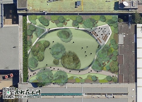 景观工程:莫纳什大学Kenneth Hunt花园6