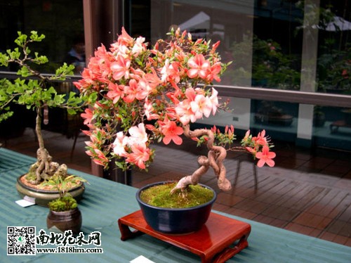 001qob9Yzy6SAF16hTF7f&690