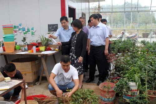 视察网络销售情况