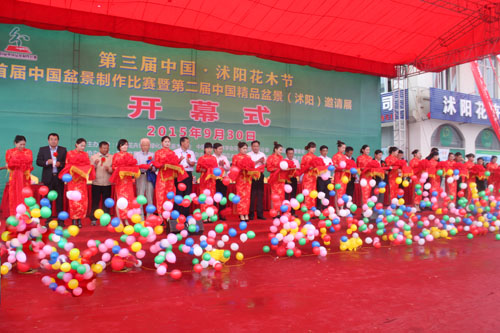 沭阳花木节开幕式