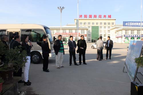 台湾客商参观沭阳国际花木城