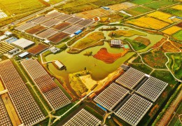 扬子晚报：沭阳县在推进乡村振兴方面有什么样的蓝图性规划和发展？