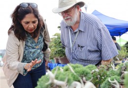 【图集】国际友人到第十届沭阳花木节购买盆景